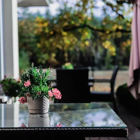 Kalinowy Sen Üdülőpark