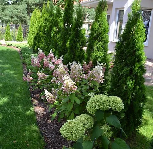 Üdülőpark Kalinowy Sen Varsó