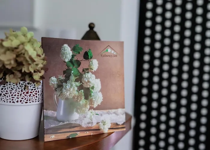 Kalinowy Sen Üdülőpark Varsó