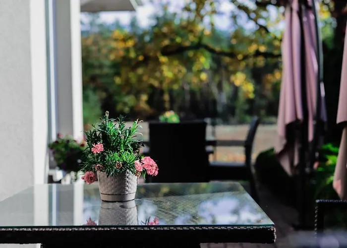 Kalinowy Sen Üdülőpark